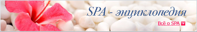 SPA-������������